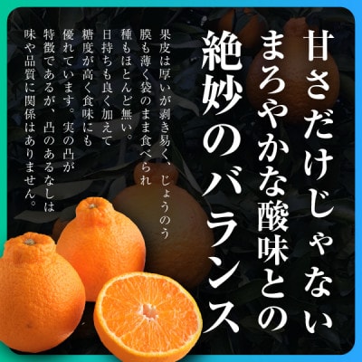 三代目がつくる不知火5kg【C31−3】【配送不可地域：離島】【1042518】