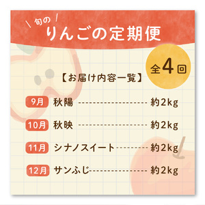 【先行予約】 定期便 令和8年産 りんごの定期便 全4回 約8kg