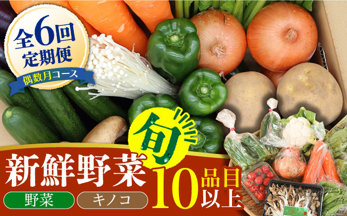 【6回定期便 偶数月コース】野菜定期便 キノコをセット 10品目以上  当日仕入れ当日発送！ / 野菜 春野菜 夏野菜 秋野菜 冬野菜 旬 きのこ キノコ 産地直送 / 南島原市 / 吉岡青果 [SCZ006]