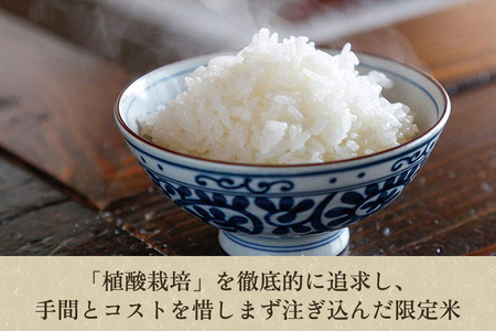 【定期便12ヶ月毎月お届け】新潟産コシヒカリ「伝ゴールド」白米真空パック 精米2kg かやもり農園