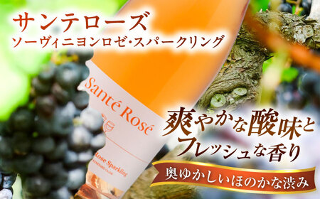 【2025年新作】サンテローズ（カベルネソーヴィニヨンロゼ・スパークリング）750ml×1本 ワイン お酒 ぶどう 島根県雲南市/有限会社奥出雲葡萄園[AICS090]