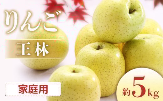 【2026年発送先行予約】りんご 王林 約5kg（10～20玉入り）※ご家庭用※