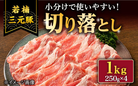 【きめが細かくやわらかい】 佐賀県産 若楠 三元豚 切り落とし セット 1kg [UBH011] 武雄市 肉 国産豚肉 豚 ブタ 豚肉 豚肉1kg ブランド豚肉 九州産豚肉 冷凍豚肉 豚肉丼 豚肉肩ロ