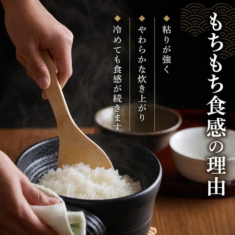無洗米 ミルキークイーン 5kg 単一原料米 無洗米