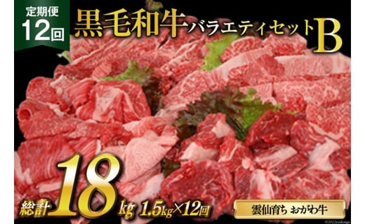 定期便 12回 牛肉 雲仙育ち おがわ牛 バラエティーセットB 総計18kg(1.5kg×12回 ) [焼肉おがわ 長崎県 雲仙市 item1605] 黒毛和牛 カルビ 切り落とし 定期 冷凍