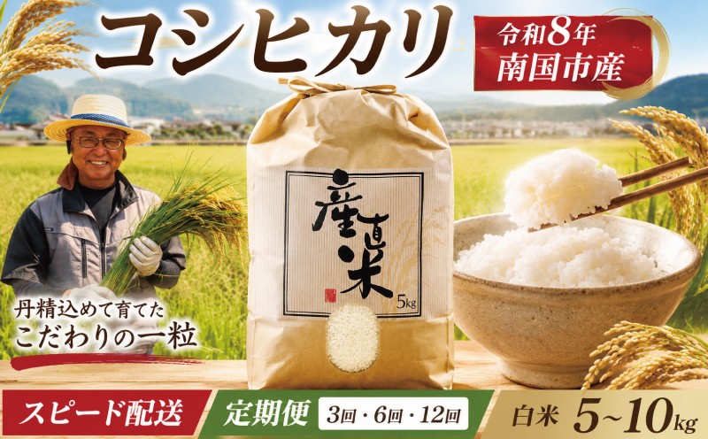 
                  【先行予約】令和8年 南国市産 コシヒカリ 白米 | 新米 選べる 5kg 10kg 定期便 早場米 家庭用 数量限定 米 コメ お米 ご飯 おにぎり こめ 弁当 高知県 南国市
                