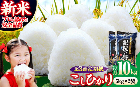 【全3回定期便】こしひかり 10kg  【令和7年産米】  [APDC007] こしひかり