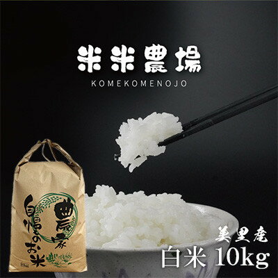 【ふるさと納税】【令和7年産】熊本県美里町のお米 ヒノヒカリ 10kg×1袋【1681365】