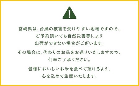【無洗米】 ＜チャック付＞ 米 国産 令和7年産 コシヒカリ 宮崎県産（5kg×1） 