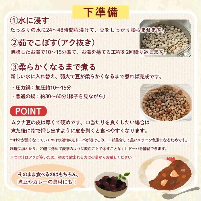 ムクナ豆 100g 八升 ハッショウマメ 【永濱農園】n427