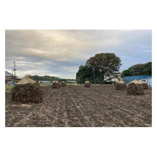 茨城県阿見町産 落花生 中手豊 300ｇ×3袋入り【ピーナッツ おつまみ 殻付き 国産 阿見町 茨城県】（04-27）