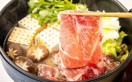 宮崎牛肩ローススライス 600g＆黒毛和牛小間切れ 200g　特番543