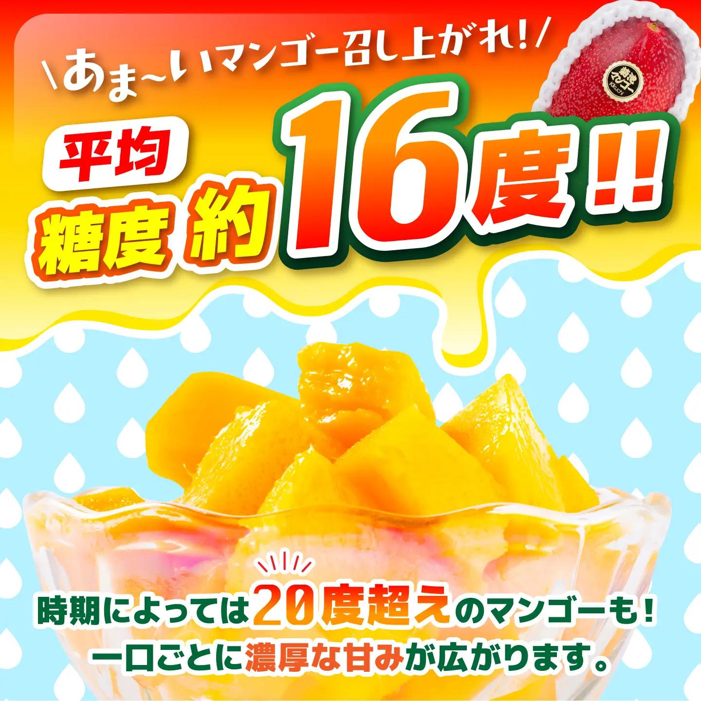 【2027年6月上旬から順次発送】より発送 菊池マンゴー約1kg マンゴー AYDF003