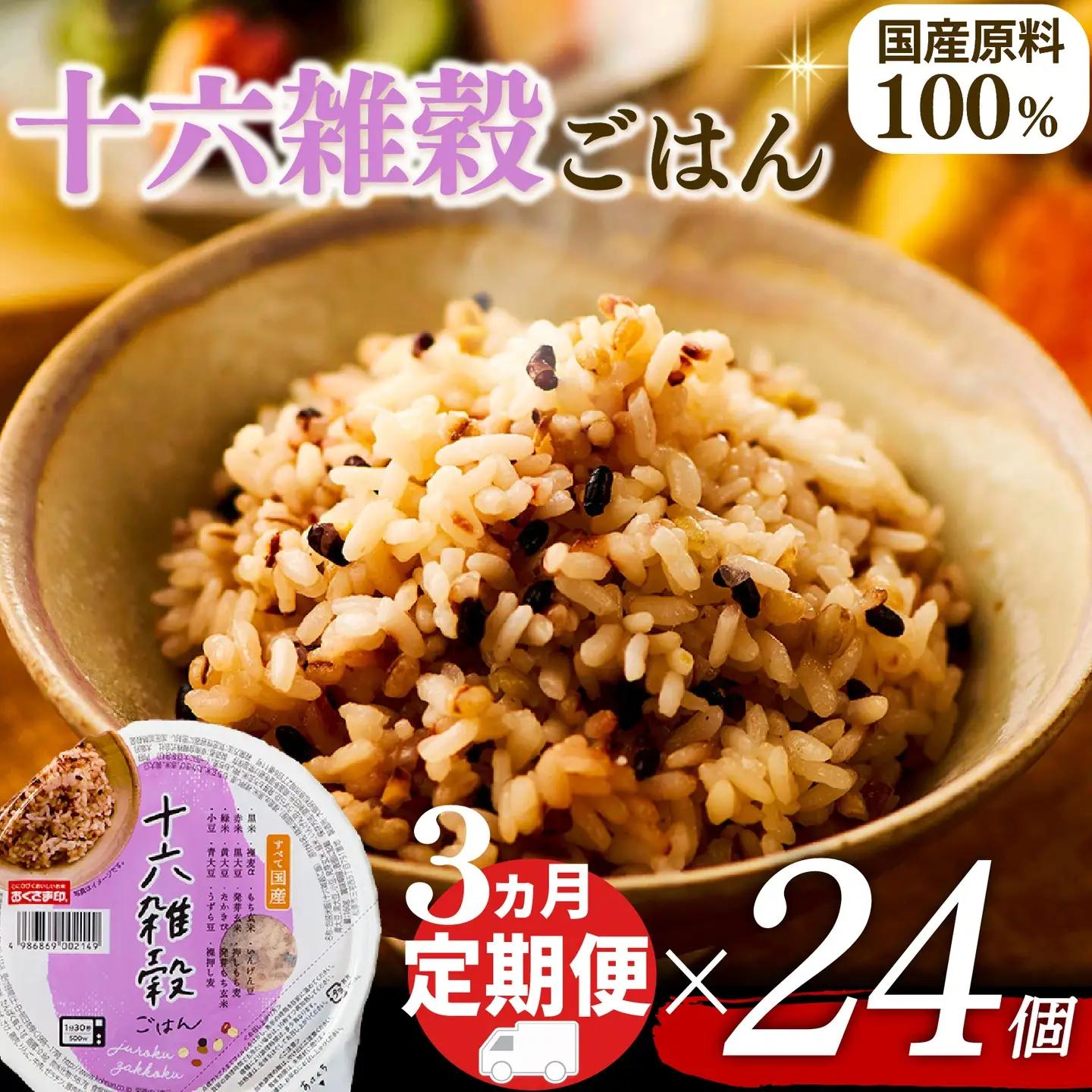【十六雑穀米】定期便3回 国産100% パックご飯 160g×24個 レンジで簡単