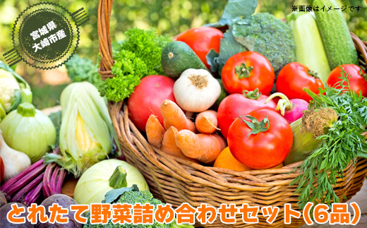 
(09701)【宮城県産】とれたて野菜 詰め合わせセット(6品)
