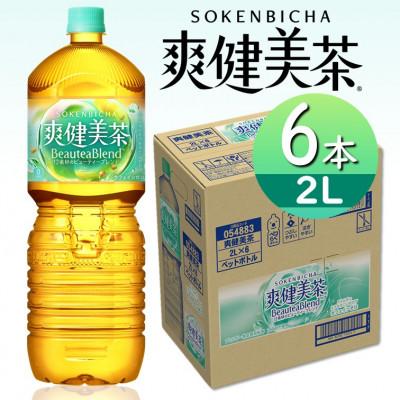 ふるさと納税 砺波市 爽健美茶2.0LPET×6本