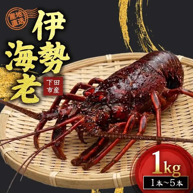 【 伊勢海老 】天然伊勢海老 1kg