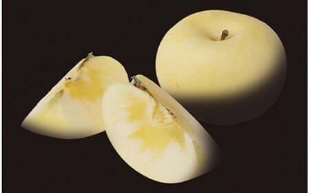 二戸産  カシオペア プレミアム冬恋はるか 約2.5kg 【2025年12月上旬-下旬発送予定】 ／りんご リンゴ 林檎 フルーツ 果物 旬 お取り寄せ 冬恋ブランド 蜜入り