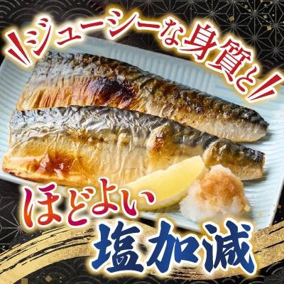 ふるさと納税 根室市 根室海鮮市場<直送>無添加天然サバフィーレ10枚 G-28022 |  | 02