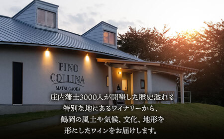 白ワイン　鶴岡甲州／2024　750ml×1本　株式会社エルサン 国産 日本ワイン 