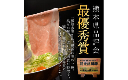  【12カ月定期便】一勝地赤豚 しゃぶしゃぶ・焼肉 堪能定期便 FKP9-447