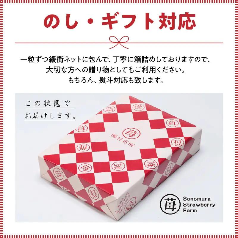 【先行受付】3月発送【農家直送】熊本県宇土市産 完熟さちのか苺 1kg(500g×2箱) _U74-0045_03
