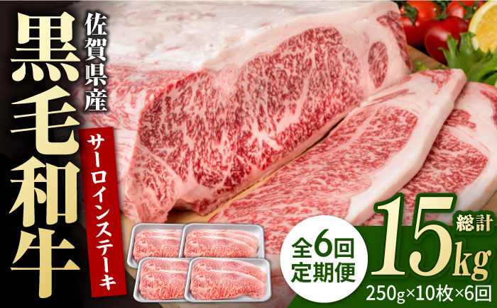 
【6回定期便】佐賀県産 黒毛和牛 贅沢 サーロインステーキ 250g×10枚（計2.5kg）【株式会社いろは精肉店】/黒毛和牛 和牛 牛肉 肉 お肉 贅沢 高級 ステーキ [IAG097]
