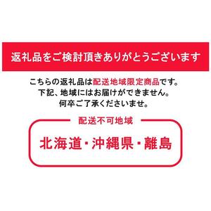 2026年 ニュー ピオーネ 約400g×2房 ｜  ピオーネ