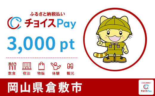 
倉敷市チョイスPay 3,000pt（1pt＝1円）【会員限定のお礼の品】
