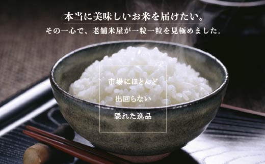 【毎月定期便１２回】 令和8年度産 新米 こしひかり 白米 20kg×12回 京の里山米 | お米 こめ 白米 精米 こしひかり 定期便 京都産