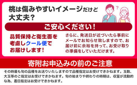 桃 定期便 紀の里の桃 約2kg(6-8玉入り)2回お届け(先行予約)《6月中旬-8月中旬頃出荷》 桃桃桃