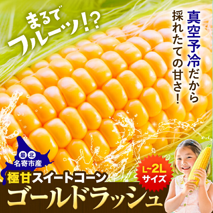 北海道名寄産 ;【先行予約 受付中】《2026年8月上旬-9月中旬頃出荷》 とうもろこし 極甘 スイートコーン 「 ゴールドラッシュ 」 5kg 以上 11～13本---nayoro_loc_23_5k---
