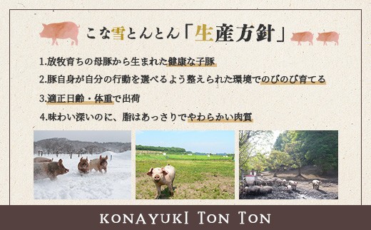 こな雪とんとん　ポークジャーキー　30g×1袋