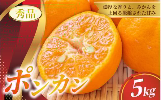 秀品 ポンカン 5kg ※箱込み【S~2Lのサイズおまかせ】【2026年1月下旬から2月中旬頃に順次発送】＜味好農園＞/ ぽんかん 蜜柑 みかん 柑橘 果物 フルーツ 【agy009B】
