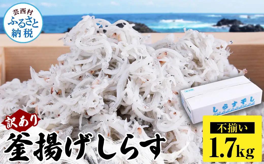 訳あり 釜揚げシラス 1.7kg 高知県産 【しらす】