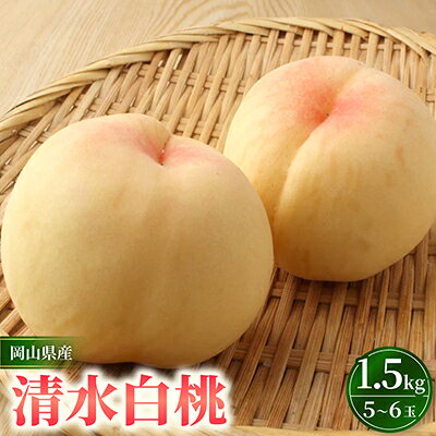 【ふるさと納税】岡山市　一宮産　清水白桃　5～6玉入り　1.5キロ 化粧箱入り【配送不可地域：離島・北海道・沖縄県・東北・関東・信越、北陸】【1726290】