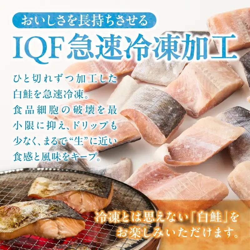 訳あり！天然 白鮭 甘口 切身 約1.5kg バラ凍結 大袋ジッパー (a10-1177)