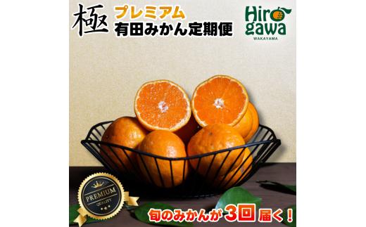 極プレミアム 有田 みかん 定期便 【2.5kg×3回】 / 温州みかん 有田みかん 甘い 厳選 高級 和歌山 有田 2.5kg ※北海道・沖縄・離島への配送不可