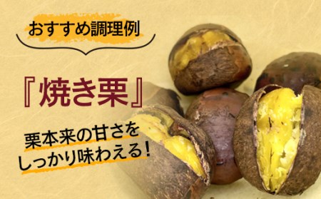 【先行予約】国産低温熟成栗（生栗）1.5㎏＜1.5-220＞