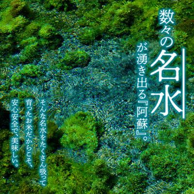 ふるさと納税 阿蘇市 R7年産 ミルキークイーン 5kg(白米)明徳農場 |  | 02