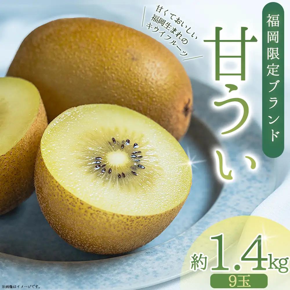 福岡県産 キウイ 甘うぃ 約1.4kg (9玉)  キウイ キウイフルーツ  kiwi 果物 フルーツ 送料無料 3W25