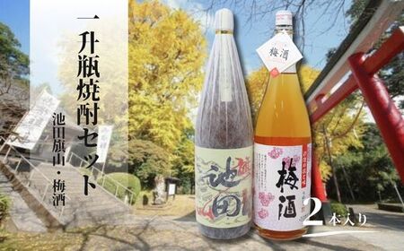 No.1425　池田旗山・梅酒（一升瓶） 2本セット