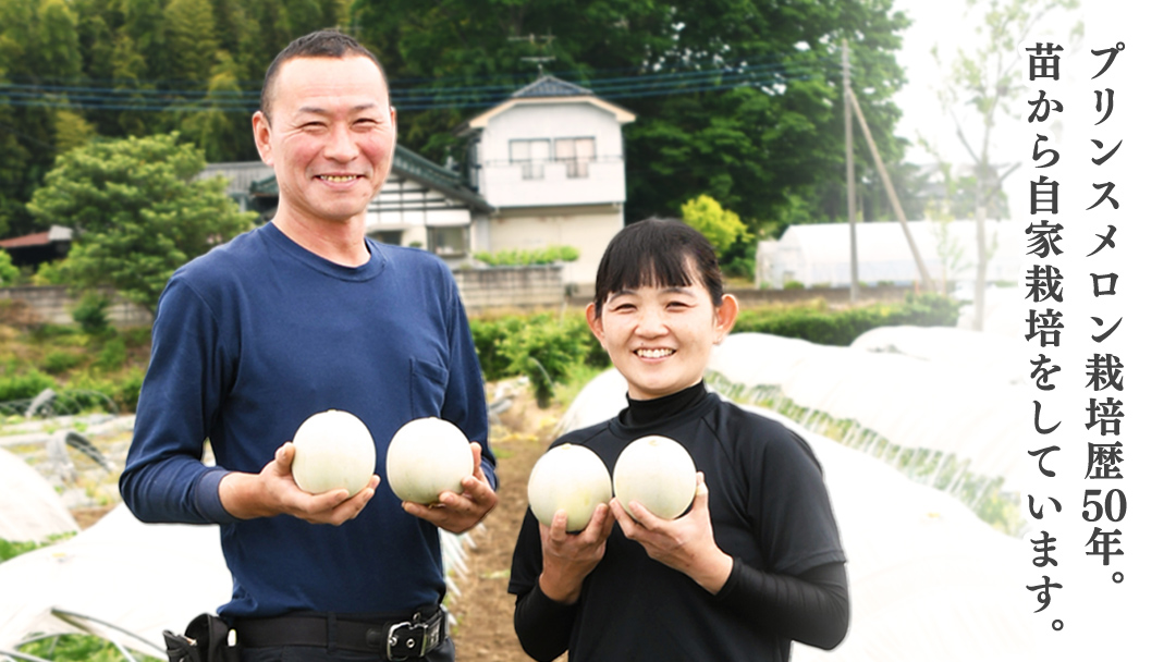 プリンスメロン ( 7～8玉 入り) 1箱 約 5kg フルーツ 果物 くだもの お取り寄せ 茨城県産 産直 直送 【 先行予約 5月下旬 以降発送 】【 令和7年産 】【 農家直送 】【 昭和の大衆