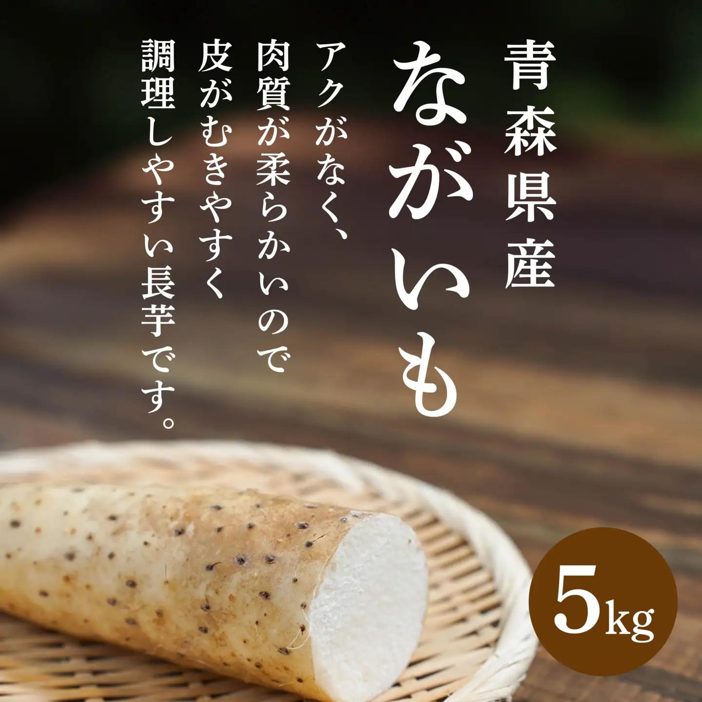 長芋 5kg ながいも 野菜　