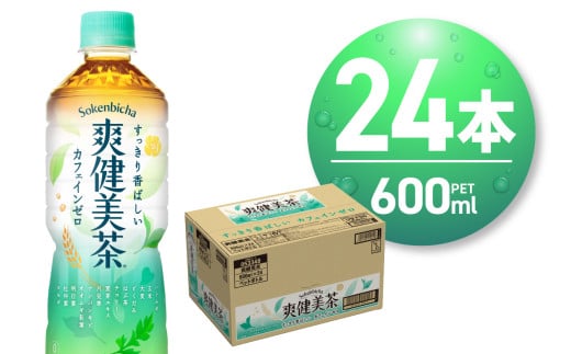 爽健美茶 600ml PET×24本 お茶 飲料 カフェインゼロ ペットボトル ソフトドリンク 札幌工場製造 札幌市