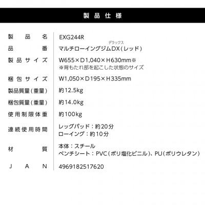 ふるさと納税 高槻市 マルチローイングジムDX/EXG244R |  | 03