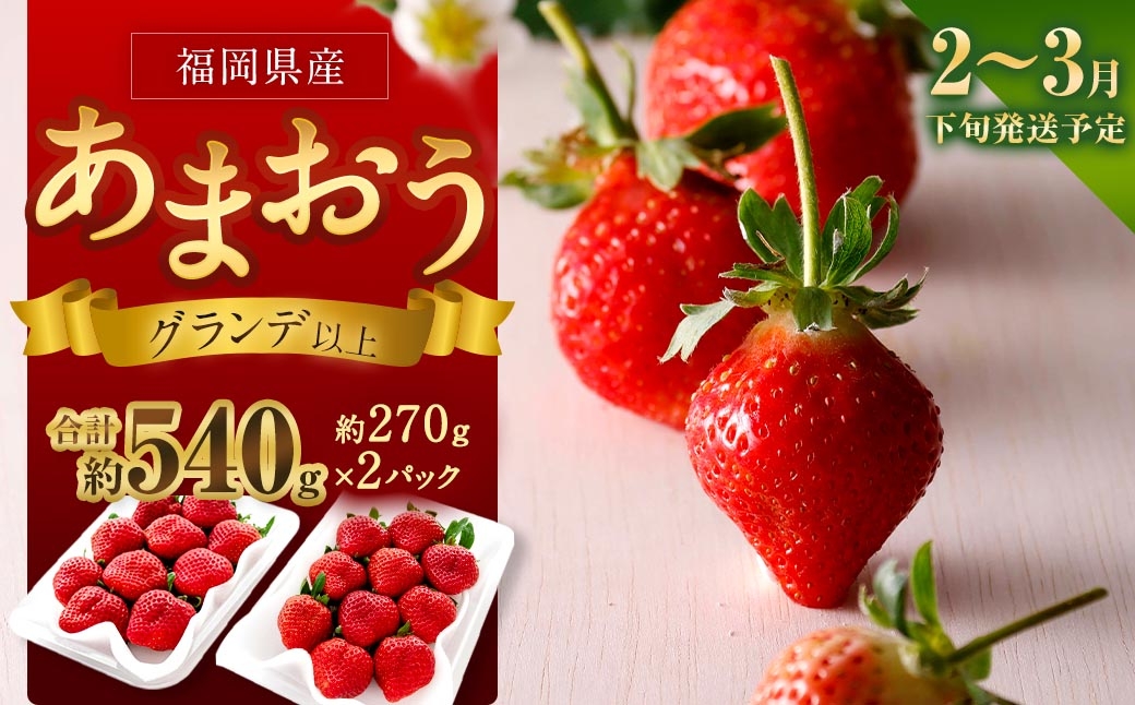 
                  福岡県産苺 「 あまおう 」 グランデ以上 270g × 2パック 計540g いちご イチゴ 苺 果物 くだもの 果実 フルーツ 果肉 いちごの王様 国産 福岡県産 【 2027年2月下旬～3月下旬発送予定 】
                