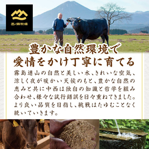 【定期便 全6回】宮崎県西ノ原牧場・なかにし和牛バラエティ定期便（牛肉 黒毛和牛 すき焼き しゃぶしゃぶ 焼肉 赤身 ステーキ 定期便）