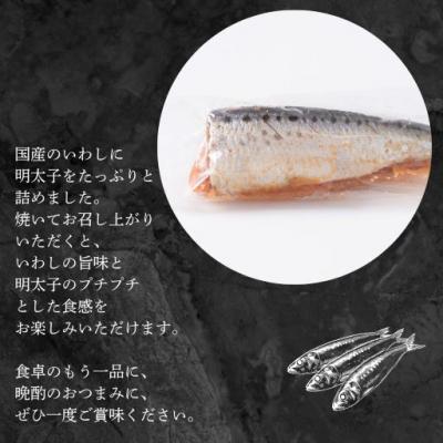 ふるさと納税 宗像市 数の子明太(140g)・いわし明太子(5尾入り)セット×2セット【ちかえフーズ】_HA1667 |  | 02