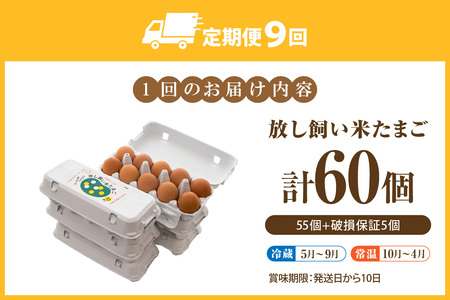 【12か月定期便】放し飼い米たまご55個+5個保証（計60個）農家直送 新鮮 卵 タマゴ 赤卵 玉子 鶏卵 朝食 夕食 夜食 朝ごはん たまご焼き オムレツ 卵ご飯 料理 濃厚 飼料にこだわった 卵か